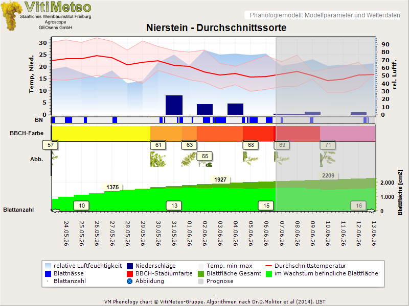 Perografik